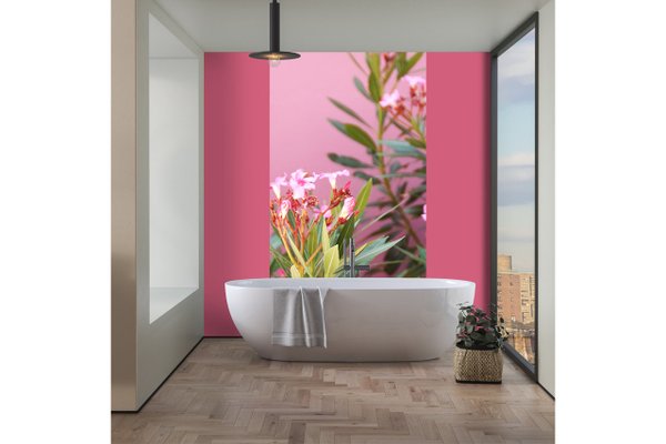 Fototapete selbstklebend - Motiv: Kreta rosa Oleander-Blüten