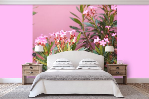 Fototapete selbstklebend - Motiv: Kreta rosa Oleander-Blüten