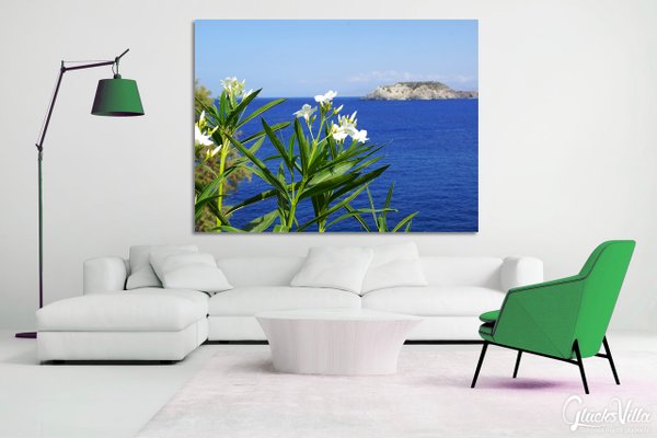 Wandbild: Kreta weißer Oleander am Meer