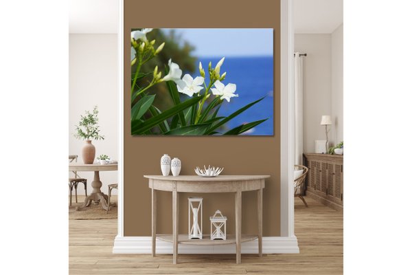 Wandbild: Kreta weiße Oleander-Blüten