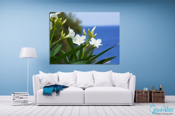 Wandbild: Kreta weiße Oleander-Blüten