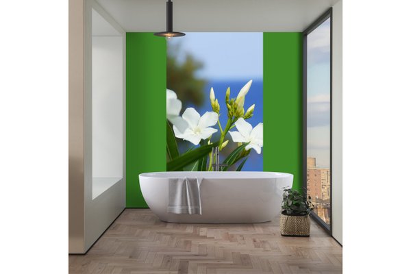 Fototapete selbstklebend - Motiv: Kreta weiße Oleander-Blüten