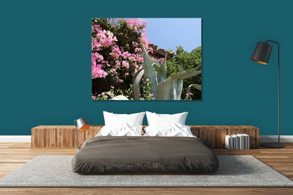 Wandbild: Kreta Hausgarten mit Bougainvillea