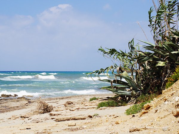 Fototapete selbstklebend - Motiv: Kreta einsamer wilder Strand