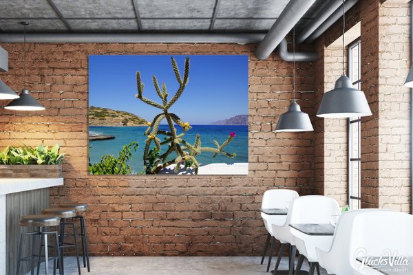 Wandbild: Kreta Mochlos Kaktus mit Meerblick