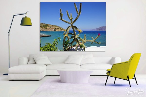 Wandbild: Kreta Mochlos Kaktus mit Meerblick