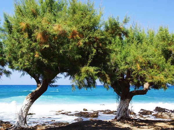 Fototapete selbstklebend - Motiv: Kreta Zweisamkeit am Strand