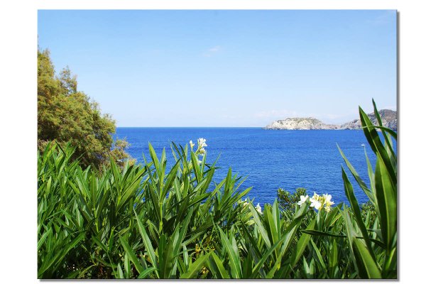 Wandbild: Kreta Oleander über der Bucht