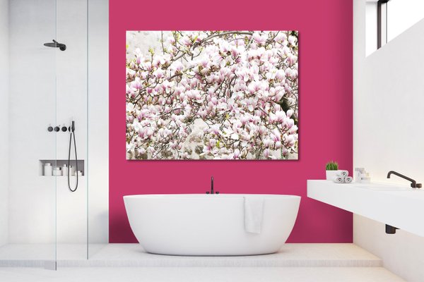 Wandbild: Magnolienblüten-Baum
