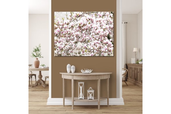 Wandbild: Magnolienblüten-Baum