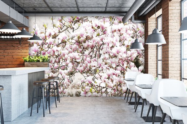 Fototapete selbstklebend - Motiv: Magnolienblüten-Baum