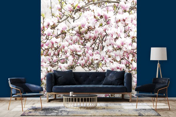 Fototapete selbstklebend - Motiv: Magnolienblüten-Baum