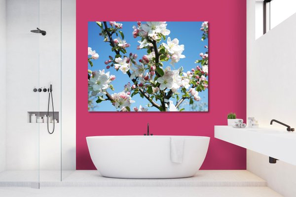 Wandbild: Apfelblüten-Frühling 1