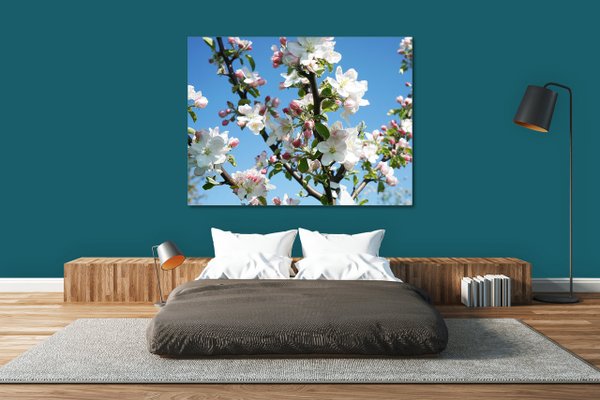 Wandbild: Apfelblüten-Frühling 1