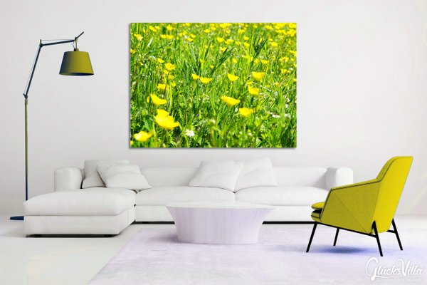 Wandbild: Butterblumen-Frühlingswiese