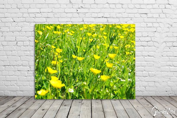 Wandbild: Butterblumen-Frühlingswiese