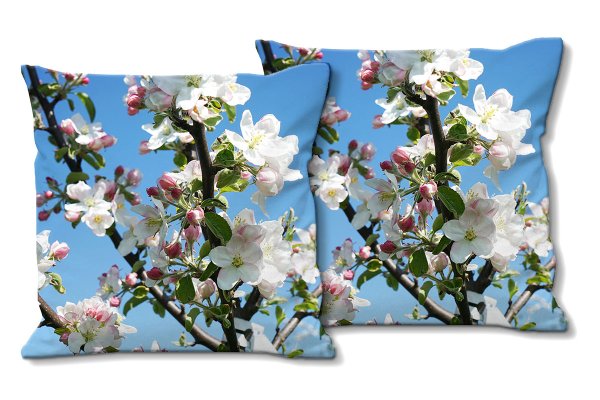 Dekokissen Set, Apfelblüten-Frühling 1, 40 x 40 cm, Premium Kissenhülle, Zierkissen, Kissenbezug