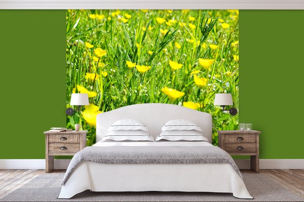 Fototapete selbstklebend - Motiv: Butterblumen-Frühlingswiese