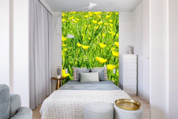 Fototapete selbstklebend - Motiv: Butterblumen-Frühlingswiese