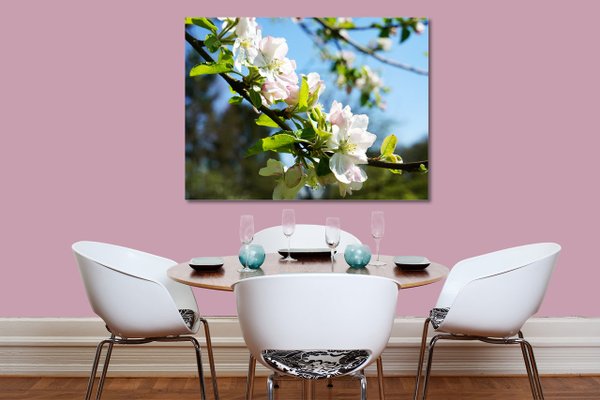 Wandbild: Apfelblüten-Frühling 2