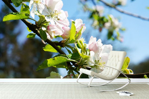 Fototapete selbstklebend - Motiv: Apfelblüten-Frühling 2