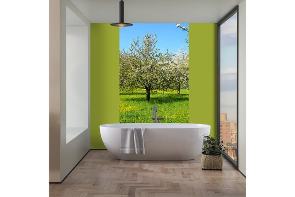 Fototapete selbstklebend - Motiv: Frühlingswiese Blütenmeer