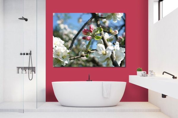 Wandbild: Apfelblüten-Frühling 4