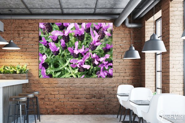 Wandbild: Lila Schopf-Lavendel Blüten