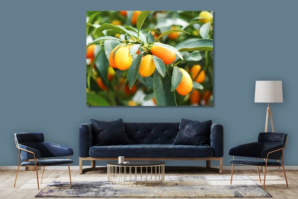 Wandbild: Kumquat Zwergorange