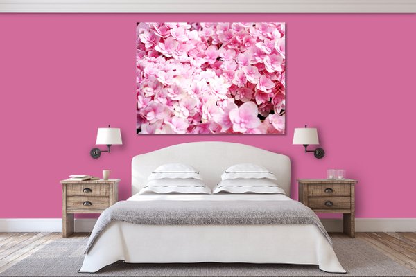 Wandbild: Rosa Hortensien-Blüten
