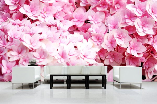 Fototapete selbstklebend - Motiv: Rosa Hortensien-Blüten