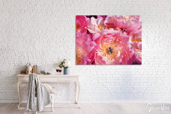 Wandbild: Pinke Pfingstrosen-Blüte