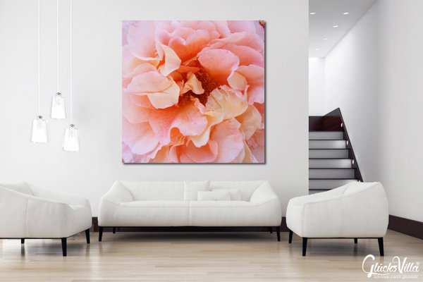 Wandbild: Rosen-Blüte Rosentraum 4 - viele Größen