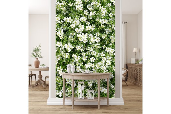 Fototapete selbstklebend: Weiße Blüten-Wiese - (viele Größen)