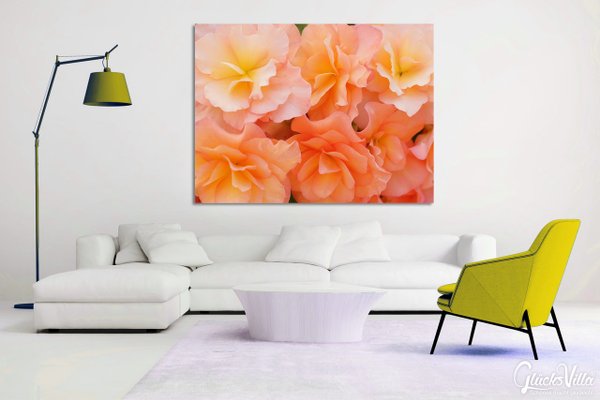 Wandbild: Rosen-Blüte Rosentraum 5 - viele Größen