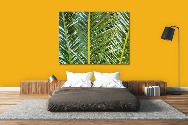 Wandbild: Palmenfächer 2 - viele Größen