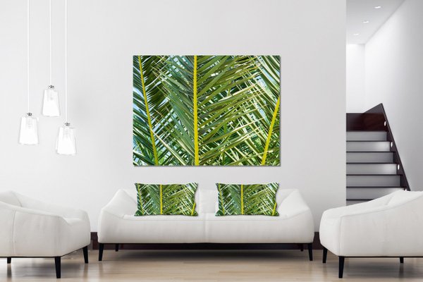 Wandbild: Palmenfächer 2 - viele Größen