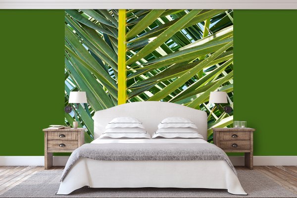 Fototapete selbstklebend: Palmenfächer 2 - (viele Größen)