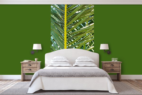 Fototapete selbstklebend: Palmenfächer 2 - (viele Größen)