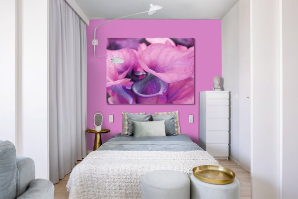 Wandbild: Calla-Blüten Romantik 3 - viele Größen