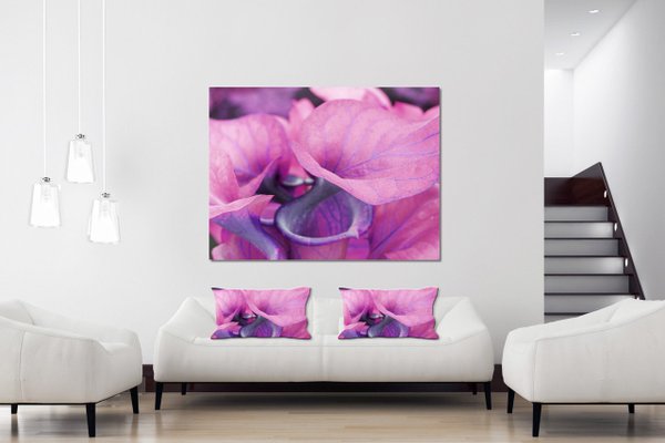 Wandbild: Calla-Blüten Romantik 3 - viele Größen
