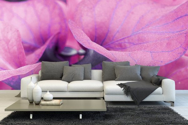 Fototapete selbstklebend: Calla-Blüten Romantik 3 - (viele Größen)