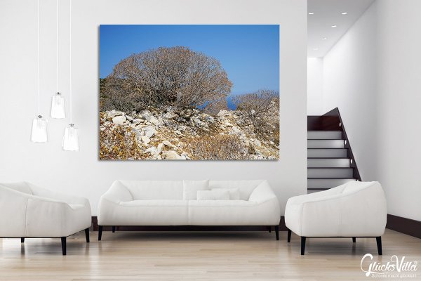 Wandbild: Wilde Macchia auf Naxos 2 - viele Größen