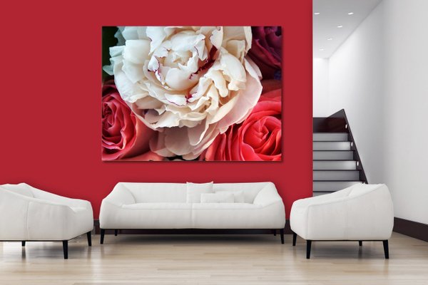Wandbild: Zarte Rosenliebe - viele Größen