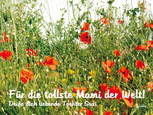 Wandbild: Wildblumenwiese - Personalisierbar