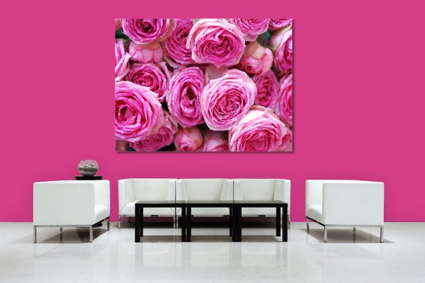 Wandbild: Rosen-Blüte Rosentraum 6 - viele Größen