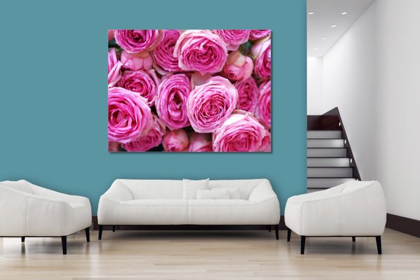 Wandbild: Rosen-Blüte Rosentraum 6 - viele Größen