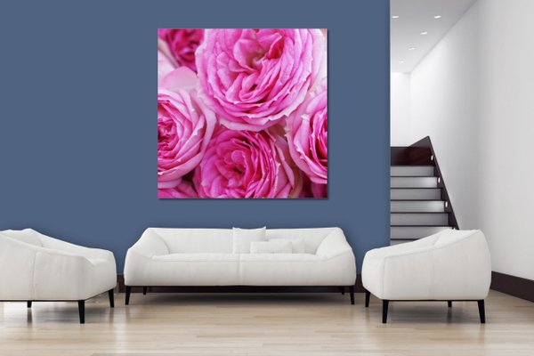 Wandbild: Rosen-Blüte Rosentraum 7 - viele Größen