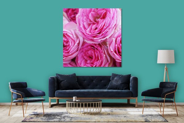 Wandbild: Rosen-Blüte Rosentraum 7 - viele Größen